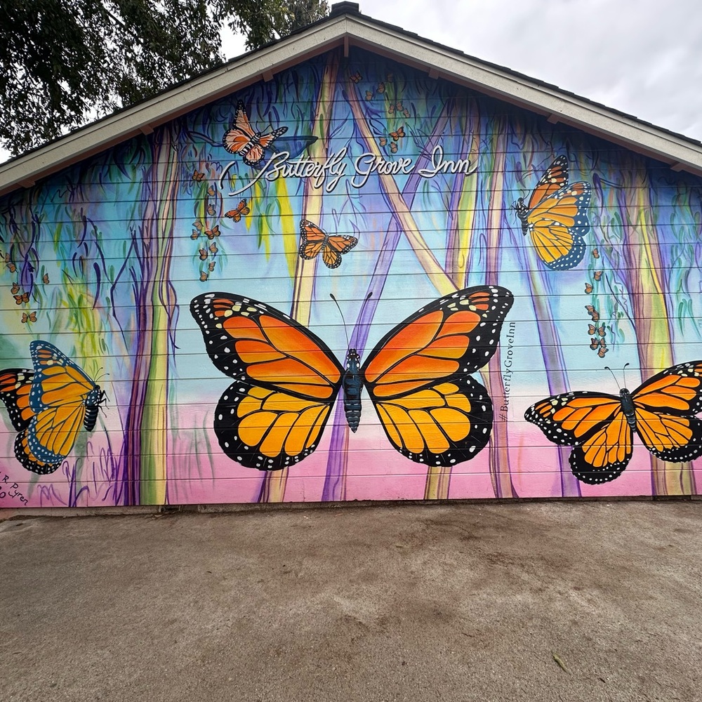 Meet your Posher, Karisa